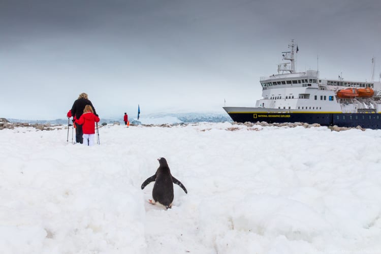 Antarctica with Kids: A penguin following us back to the ship