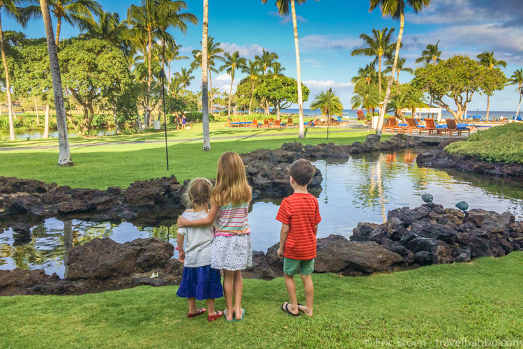 Mauna Lani - In front of the Bay Terrace, near a perfect spot for a playground