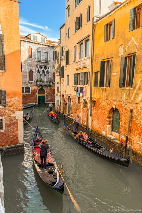 From my room at Ca'Amadi