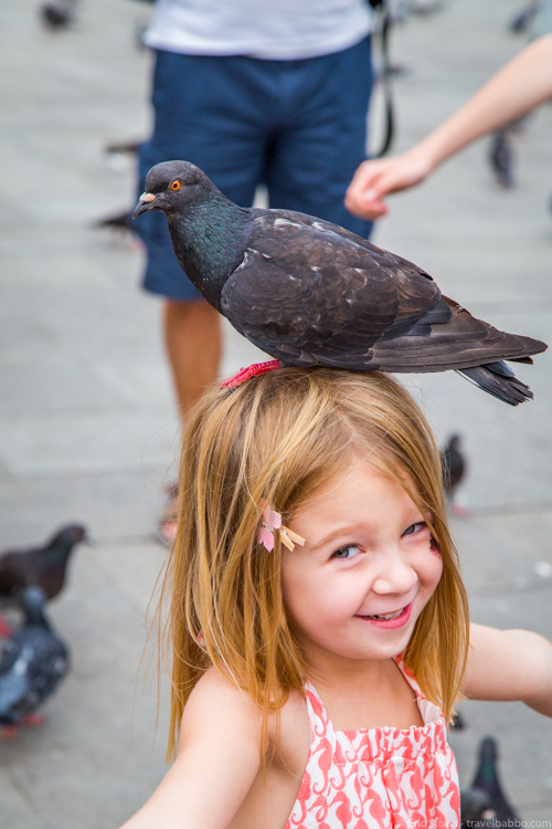 Things to do in Europe with kids - In Piazza San Marco, Venice