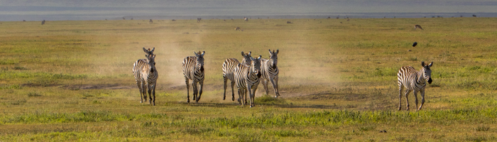 Best Family Safari - Ngorongoro Crater