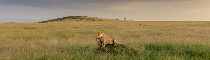 Best Family Travel - Maasai Mara