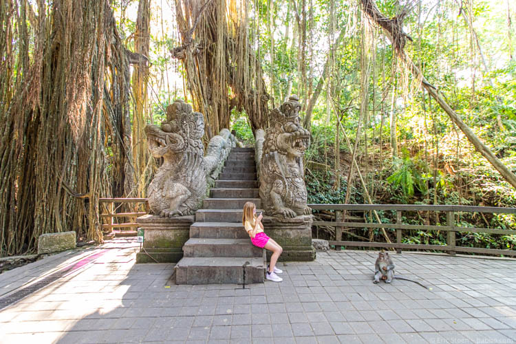 Bali with Kids - In the monkey forest
