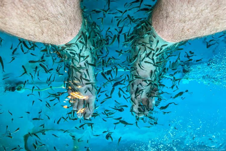 Bali with kids - At a fish spa in Ubud 