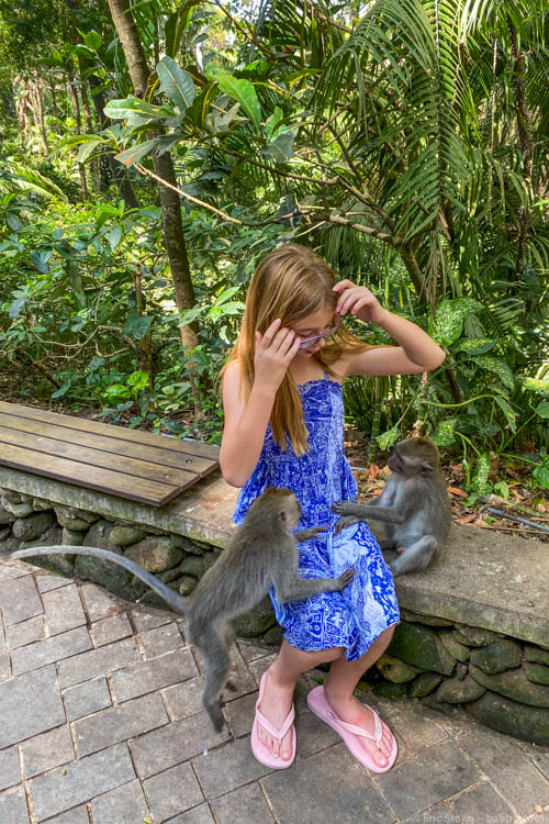 Bali with Kids - Moments before these guys started to bite