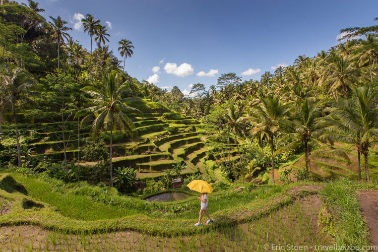 Bali with kids: Hiking through the Bali Rice Terraces