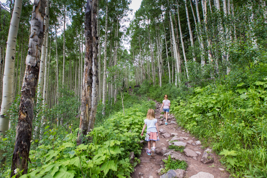 Aspen Getaway - The path to Crater Lake. The Aspen Groves are amazing! 