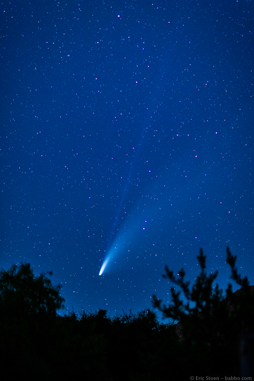 Comet Neowise in California, taken with the Canon 6D MII and an 85mm f/1.2 lens, at f/1.2 and 6 seconds