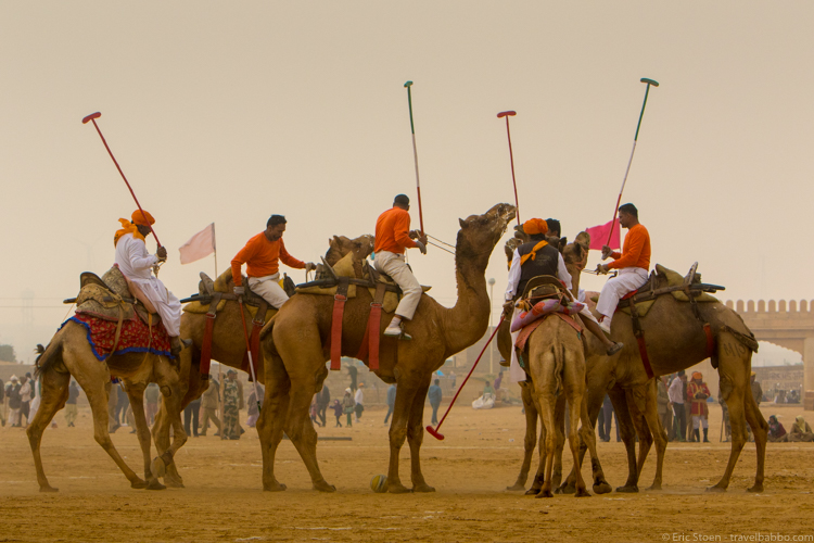 Places to visit in India - Camel Polo