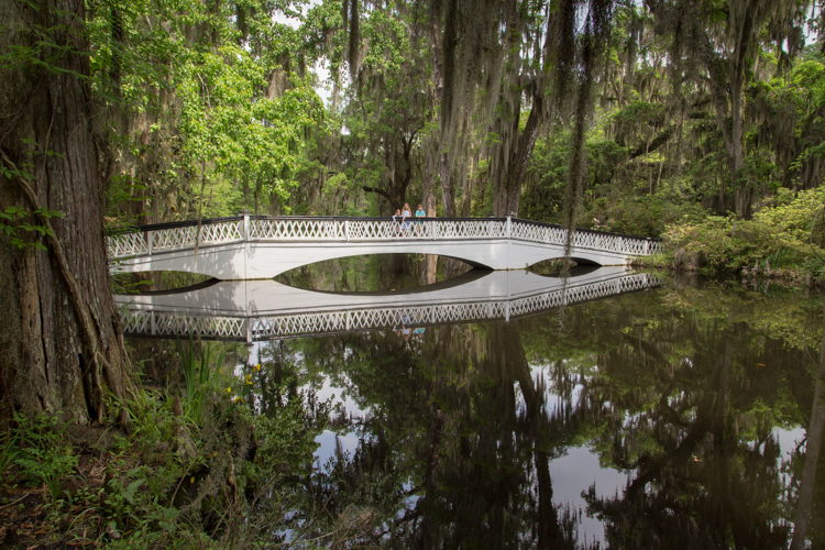 Year in Review: At Magnolia Plantation outside Charleston