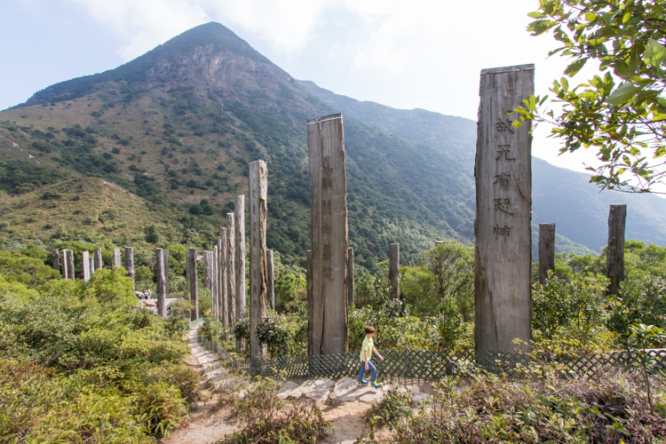 Walking Hong Kong's Wisdom Path on Lantau Island