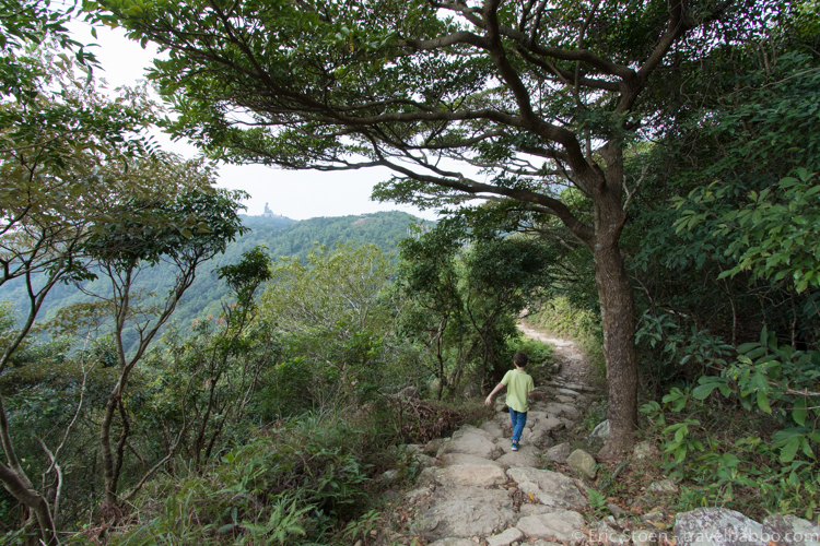 48 hours in Hong Kong: On the Lantau Trail. The Big Buddha is in the distance. 