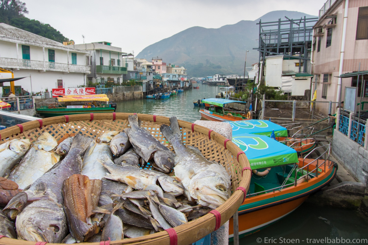 48 hours in Hong Kong: In Tai O Fishing Village