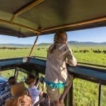 How to Book an Affordable African Safari