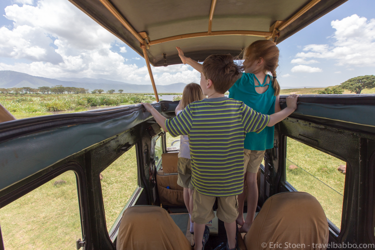 What does an African safari cost? With five people in our Land Cruiser we weren't crowded at all. We could have fit more. 