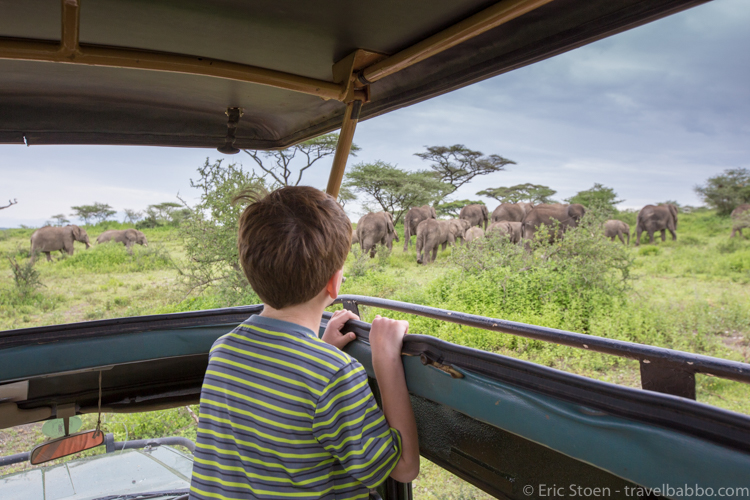 What does an African safari cost? Watching elephants at Lake Ndutu