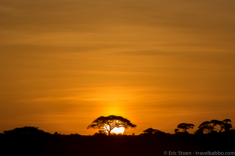 African Safari with Kids - Sunrise in Amboseli National Park, not far from our camp. 