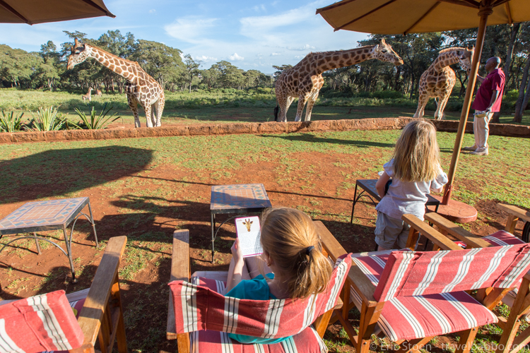Giraffe Manor Kenya - Taking a break to brush up on giraffe facts (cards from Tava Adventures)