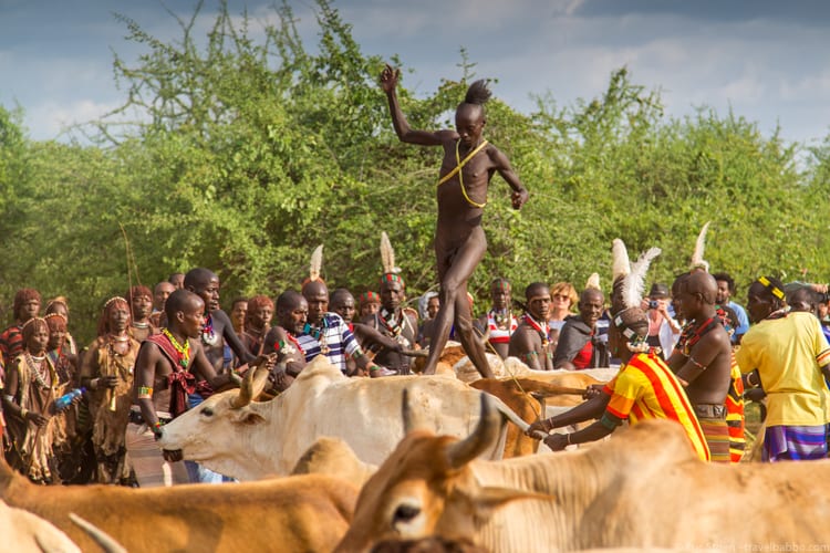 Ethiopia travel: The Hamer bull jumping