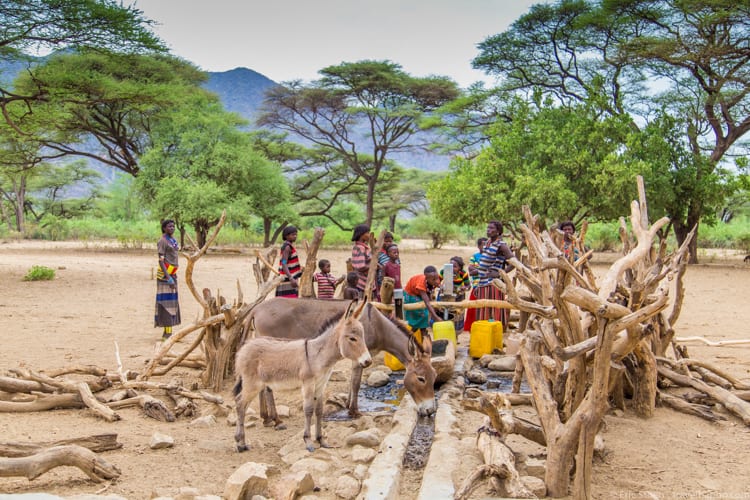 Ethiopia travel: So much life at the wells