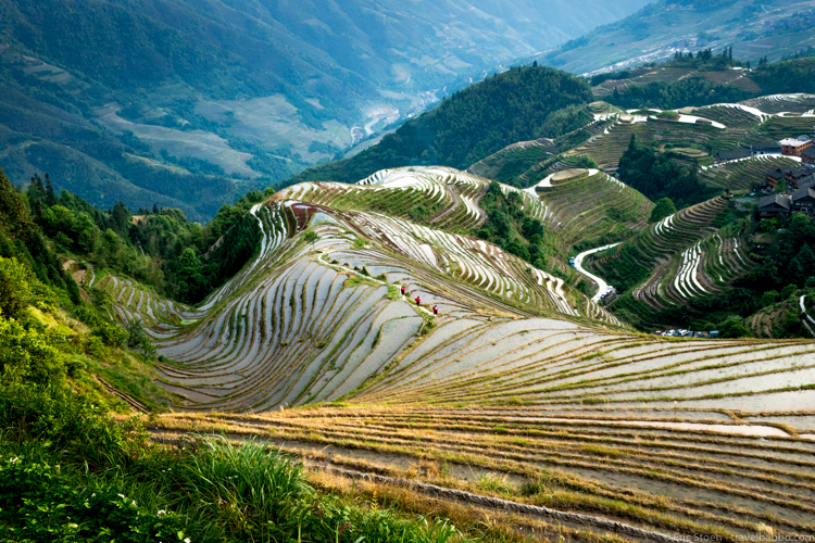 China: Guizhou and Guangxi - Longji Rice Terraces
