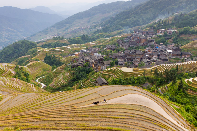 China: Guizhou and Guangxi - Longji rice terraces