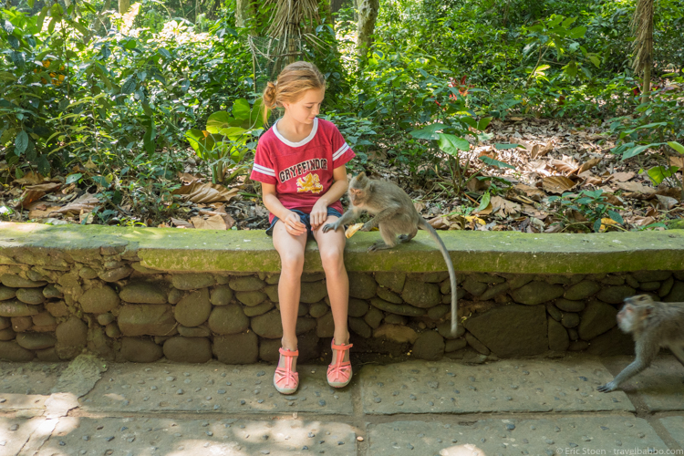 Around the world with kids - Back at Bali's Monkey Forest
