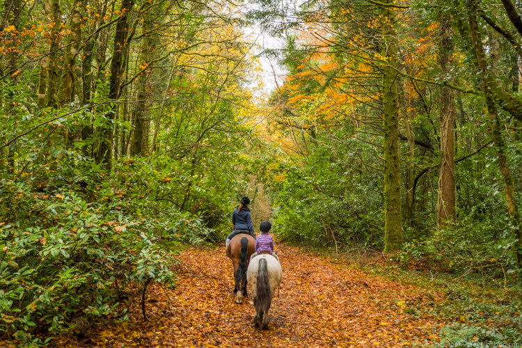 Ashford Castle and Kid-Friendly Ireland: A gorgeous horseback ride near Ashford Castle 