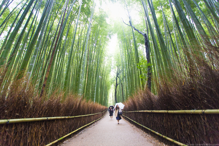 Private jet trips - The Arashiyama Bamboo Grove in Kyoto