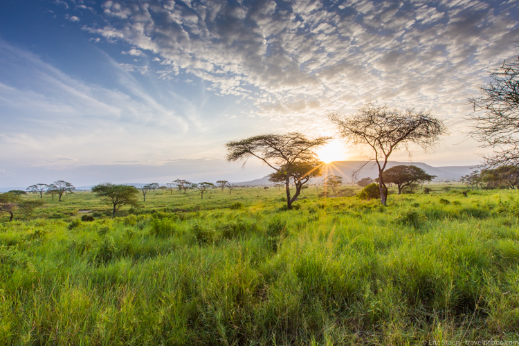 Private jet trip - Sunset in the Serengeti
