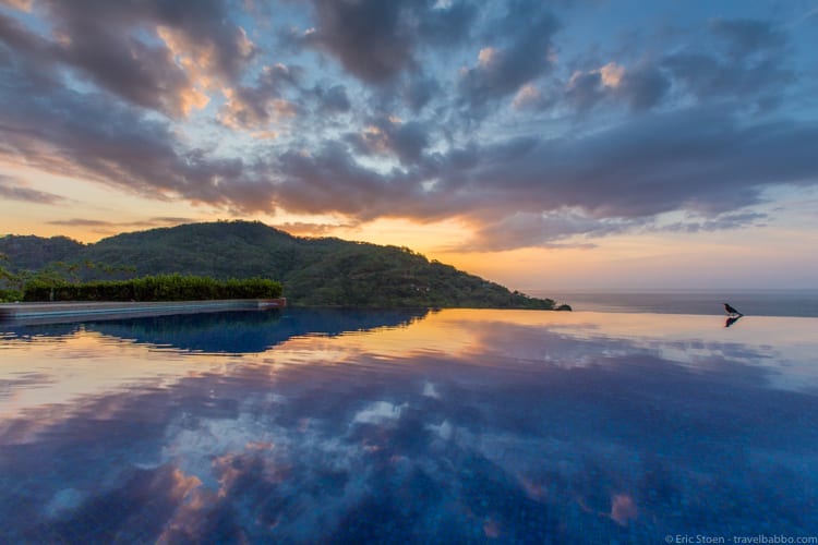 Costa Rica with Kids: Early morning at the infinity pool