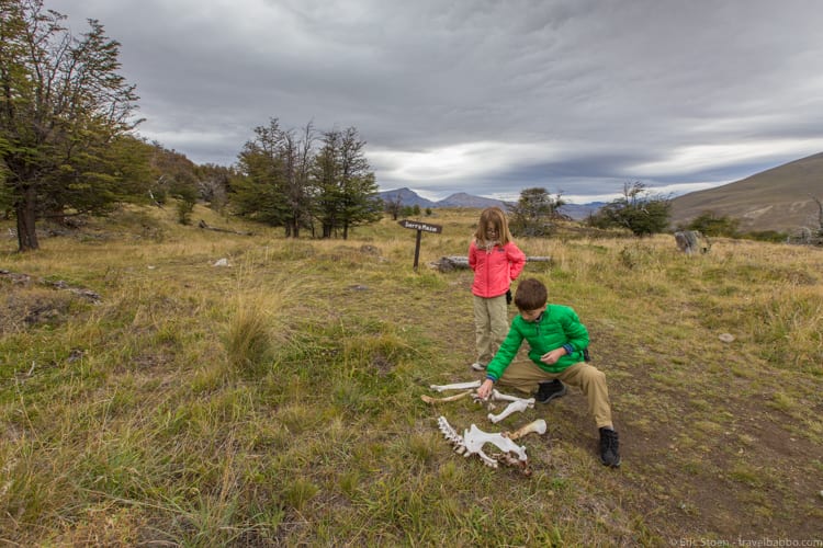 Patagonia with kids: The kids trying to piece together as much of a guanaco as possible