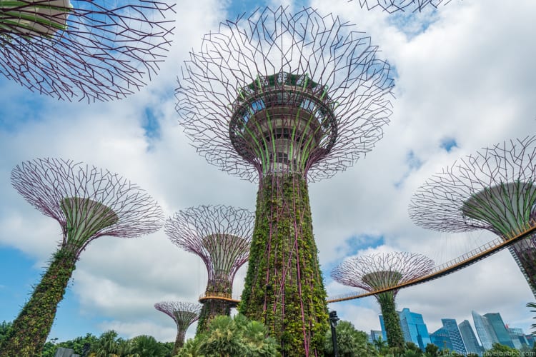 Beautiful photos: Gardens by the Bay, Singapore