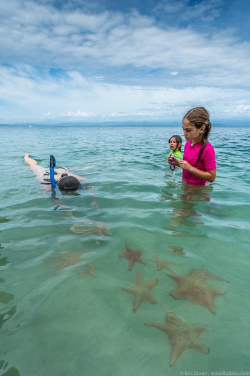 Panama Family Travel - Starfish everywhere! 