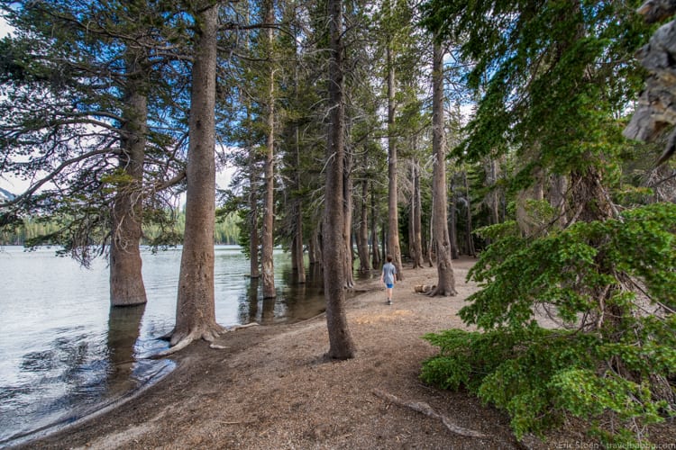 Mammoth Lakes with Kids - Hiking around Horseshoe Lake