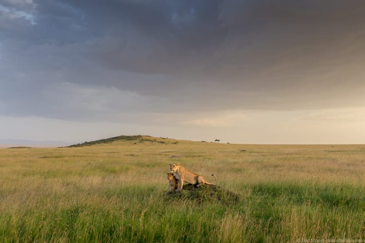 Breathtaking views: Kenya's Maasai Mara