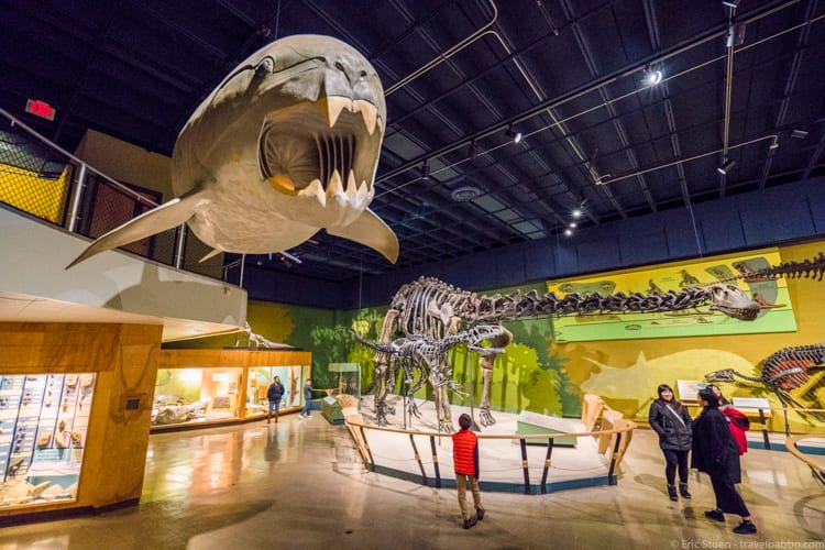 Cleveland with Kids: Very cool displays at the Cleveland Museum of Natural History
