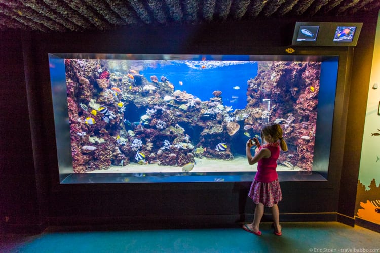 Affordable Hawaii: At Waikiki Aquarium