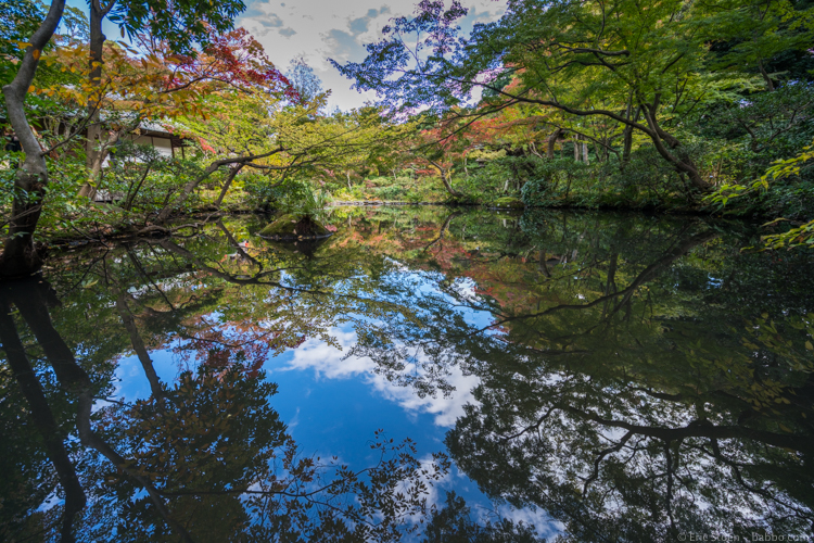 Things to do in Tokyo - At Toyko's Nezu Museum