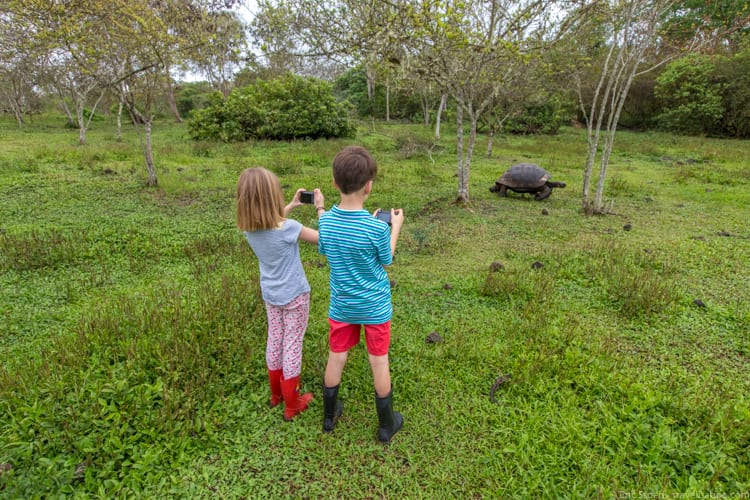 Galapagos with Kids - Photographing tortoises 