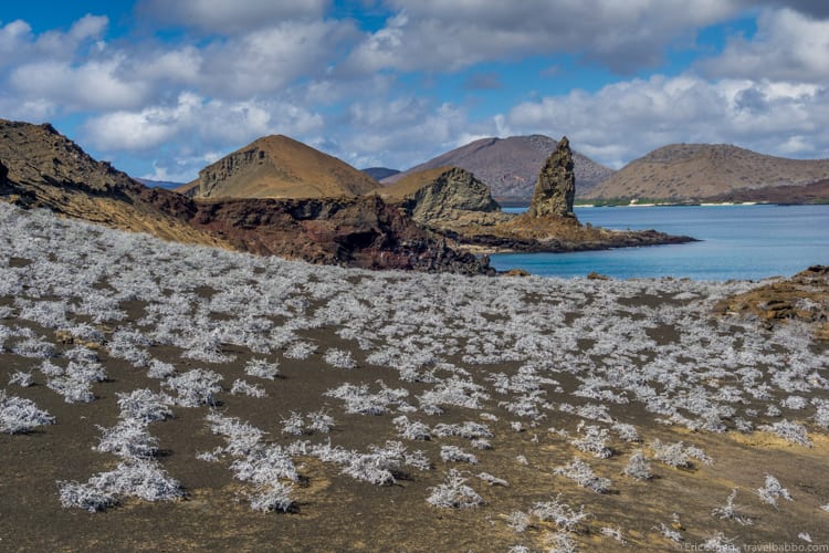 Galapagos with Kids - Bartolome Island