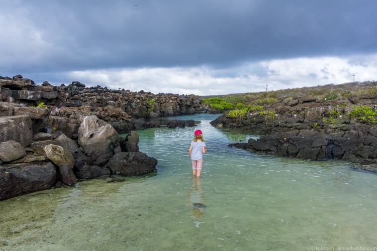 Galapagos with Kids - Looking for fish