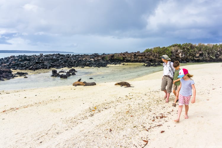 Galapagos with Kids - Sea lions on Genovesa Island