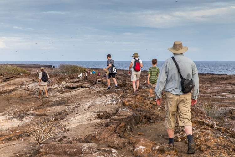 Galapagos with kids - Heading to a short-eared owl sighting on Genovesa Island