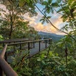 Mashpi Lodge: An Extraordinary Adventure in Ecuador’s Cloud Forest