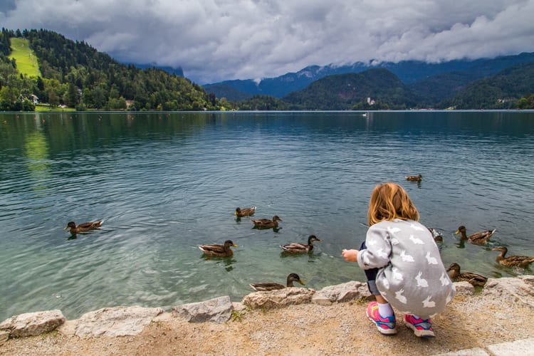 Family travel advice: Feeding ducks in Bled, Slovenia during our quick getaway. Not raining! 