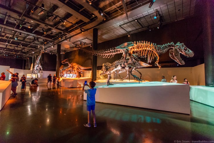 Houston with Kids - Paleontology at the Houston Museum of Natural Science