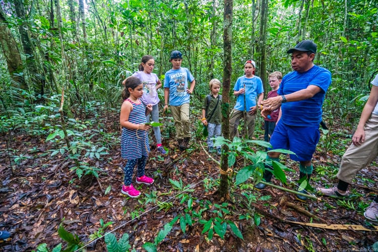 Amazon Rain Forest with Kids - Learning to make a tripwire bow and arrow. Hoping the kids use the new knowledge for good and not evil! 