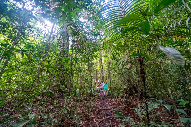 Amazon Rain Forest with Kids - hiking