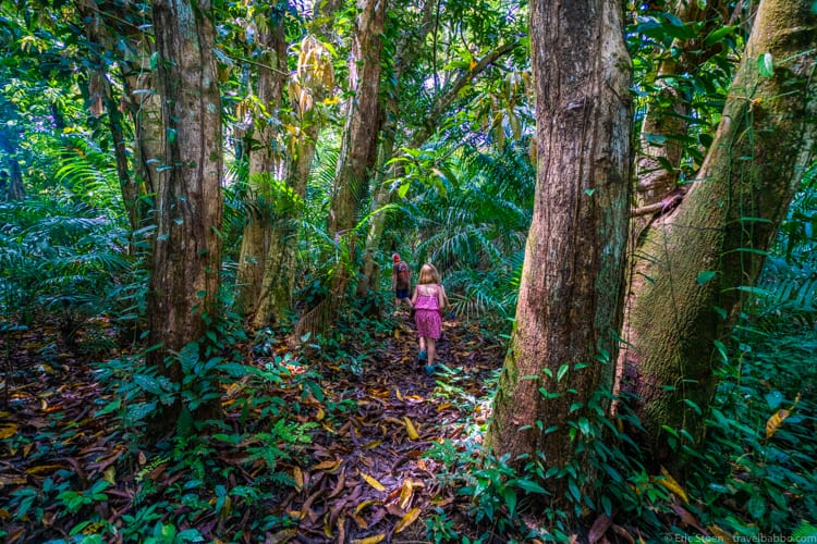Amazon Rain Forest with Kids - Walking around Airão Velho